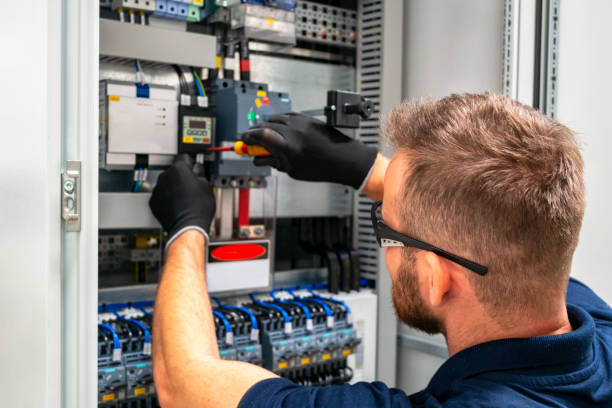 Best Industrial Electrical Services  in Mount Morris, MI