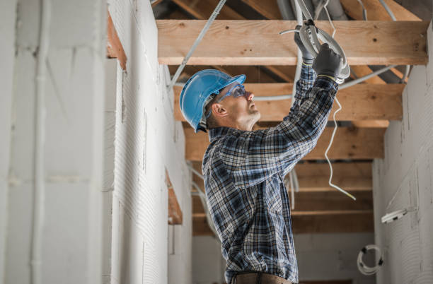 Best Residential Electrician Services  in Mount Morris, MI