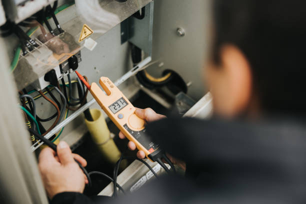 Best Generator Installation Services  in Mount Morris, MI
