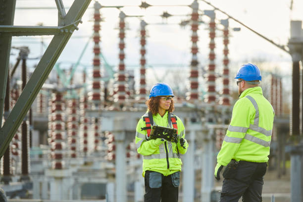 Best Electrical System Inspection  in Mount Morris, MI
