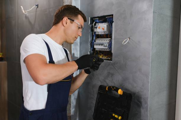 Best Emergency Electrician Near Me  in Mount Morris, MI