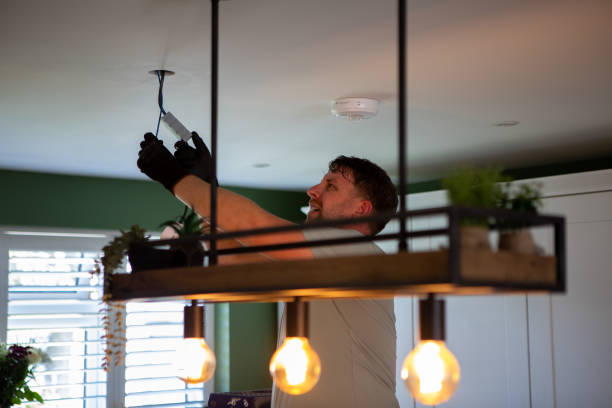 Best Electrical Upgrades for Homes  in Mount Morris, MI