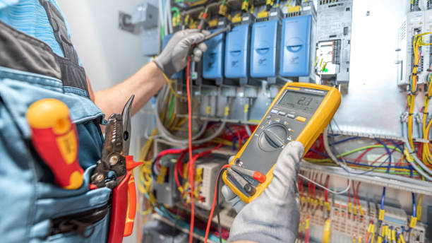 Best Electric Panel Repair  in Mount Morris, MI