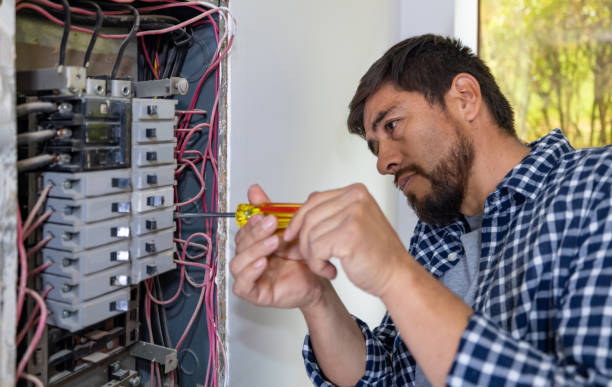 Best Home Electrical Repair  in Mount Morris, MI